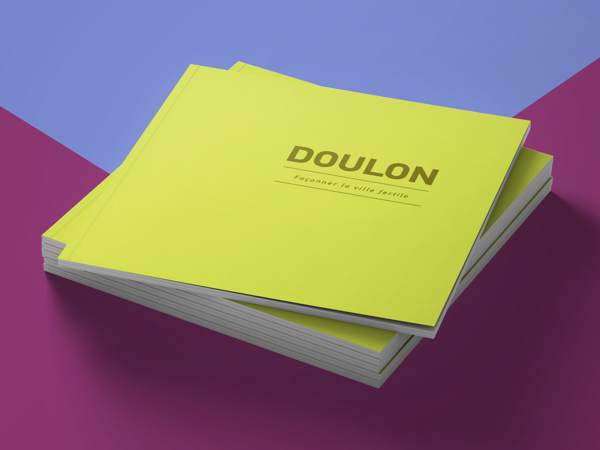 Design graphique : Book Doulon - projet urbain