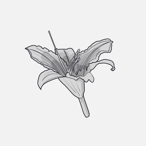 Les Vagabondes - Jardin éphémère