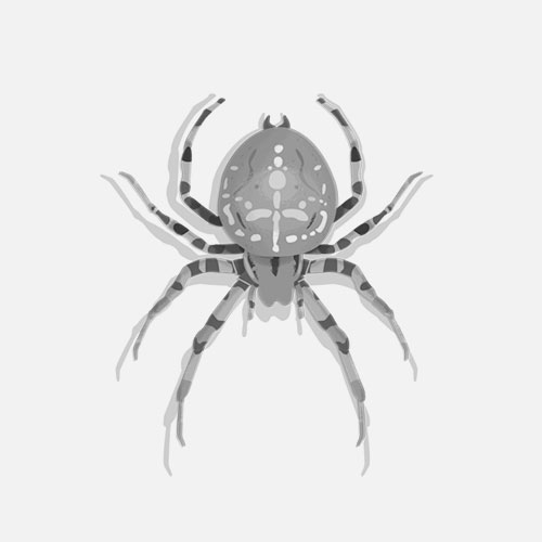 Exposition - Au fil des araignées - Muséum d’Histoire naturelle de Nantes