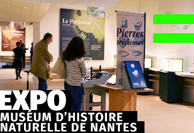 Muséum d’histoire naturelle de Nantes - Exposition Retour d'Orient